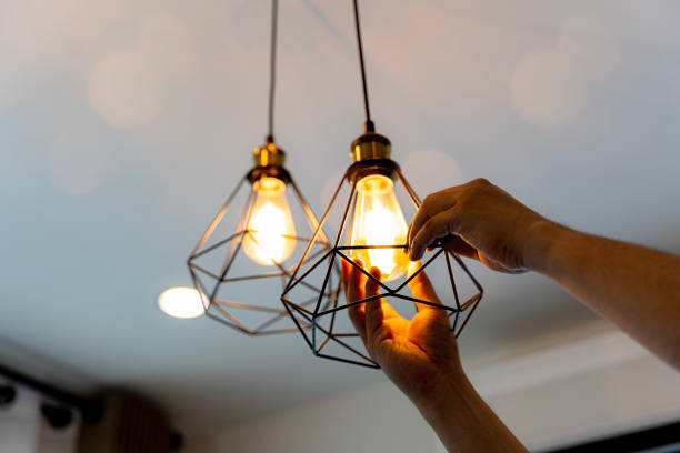 Best Residential Electrician Services  in Goose Creek, SC